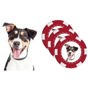 Ball Markers With Pet Photo