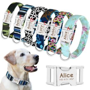 Personalized Dog ID Collar