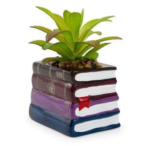 Harry Potter Book Stack Ceramic Planter With Artificial Succuient