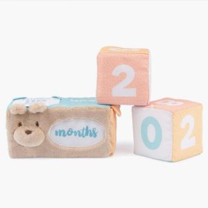 The Baby’s Milestones And Moments Soft Block Set