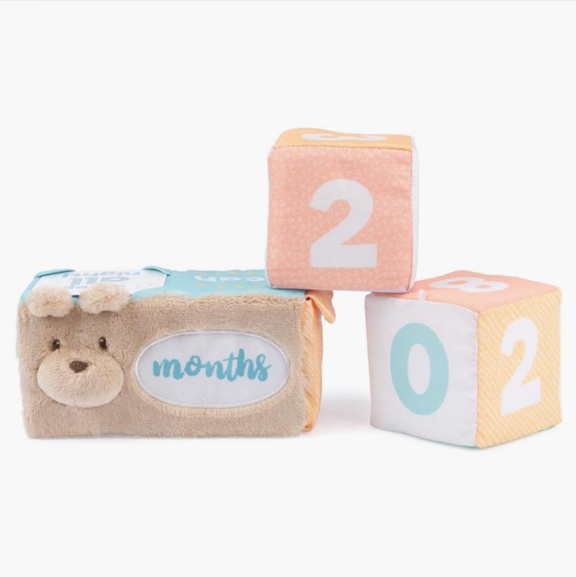 The Baby's Milestones And Moments Soft Block Set